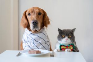 ¿Cuáles alimentos son buenos para mis perros?